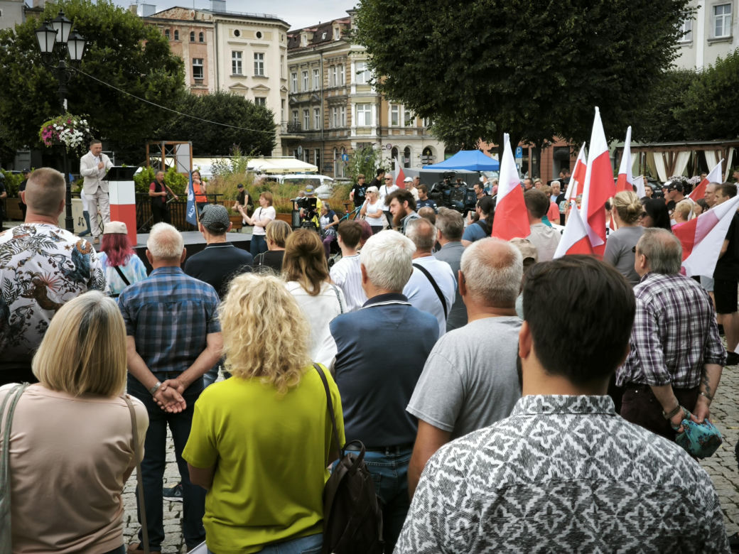Manifestacja pod hasłem "Sto nielegalnej imigracji" w Lesznie
