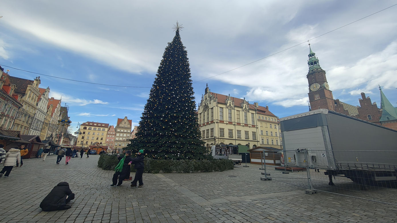 Co jest nie tak z nową choinką we Wrocławiu? "Brakuje gałązek, czubek jest niedopracowany"
