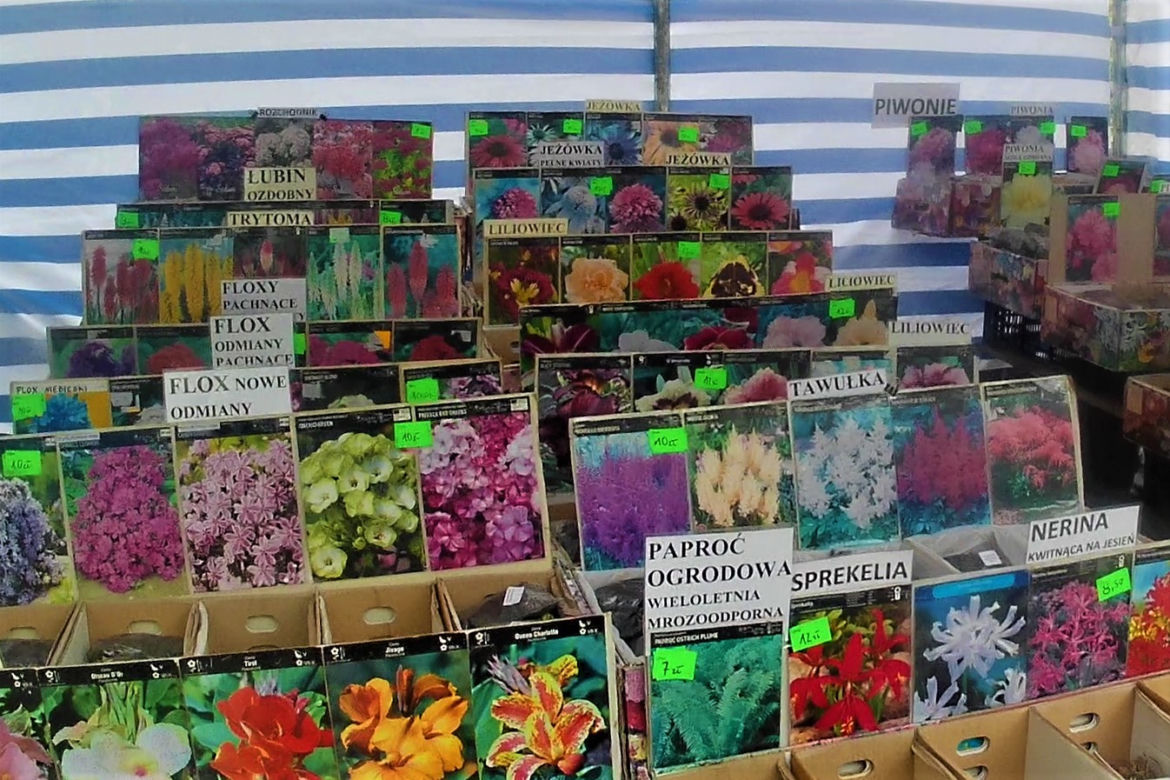 Kiermasz ogrodniczy na Wałach Chrobrego