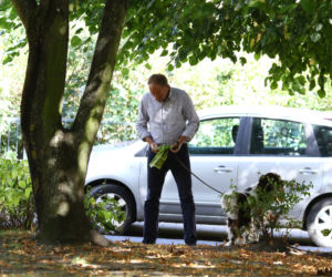 Tusk sprząta po psie