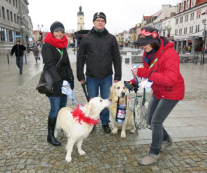 WOŚP 2014