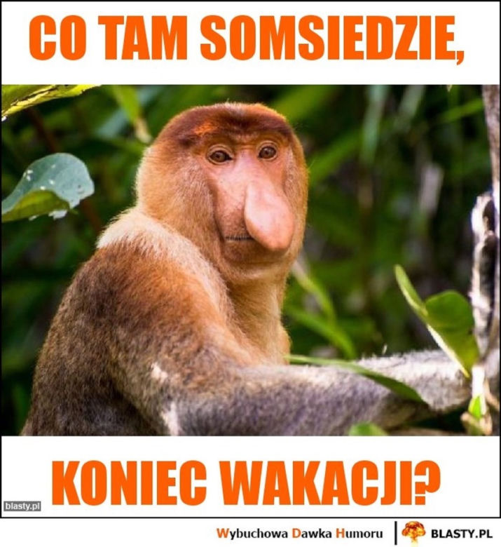 Najlepszy z okazji zakończenia wakacji i początku roku szkolnego!