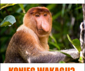 Najlepszy z okazji zakończenia wakacji i początku roku szkolnego!