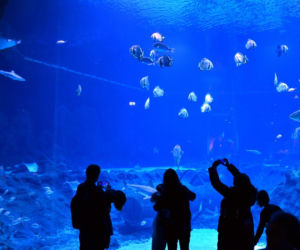 Najlepsze ogrody zoologiczne w Polsce [ZDJĘCIA]