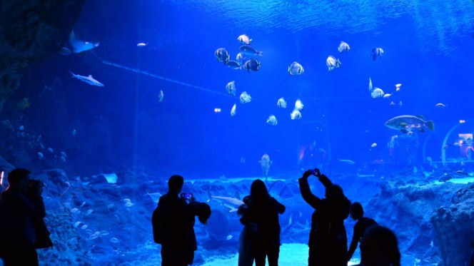 Najlepsze ogrody zoologiczne w Polsce [ZDJĘCIA]