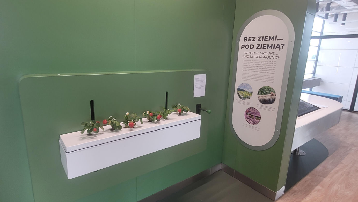 Wielkie otwarcie Centrum Nauki „Kortosfera”. „Jesteśmy dla wszystkich” [ZDJĘCIA]