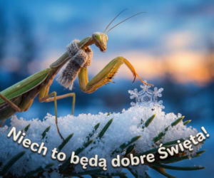 E-kartki na święta Bożego Narodzenia. Piękne grafiki do skopiowania i wysłania