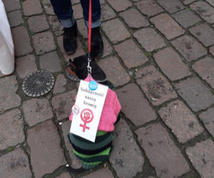 Toruń miał swoją manifestację feministyczną. Zobacz jak wyglądała