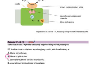 Biologia matura 2026 pdf jpg [ODPOWIEDZI + oficjalny ARKUSZ CKE do pobrania] 8.05.2026