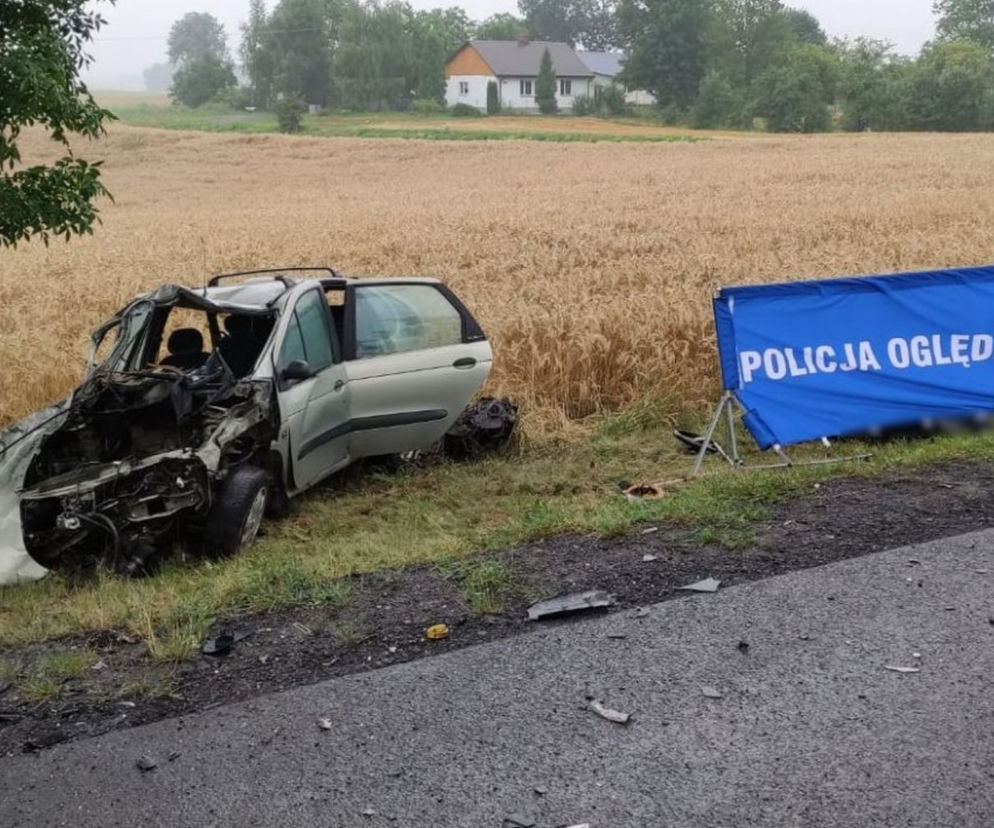 Makabryczne wakacje na drogach. Fala śmierci w Lubelskiem