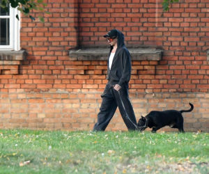Luksusowe życie psa Michała Szpaka
