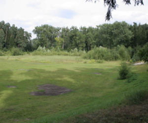 Stadion Leśny