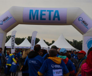 Toruń. VIII Marsz Walkathon Neuca dla Zdrowia