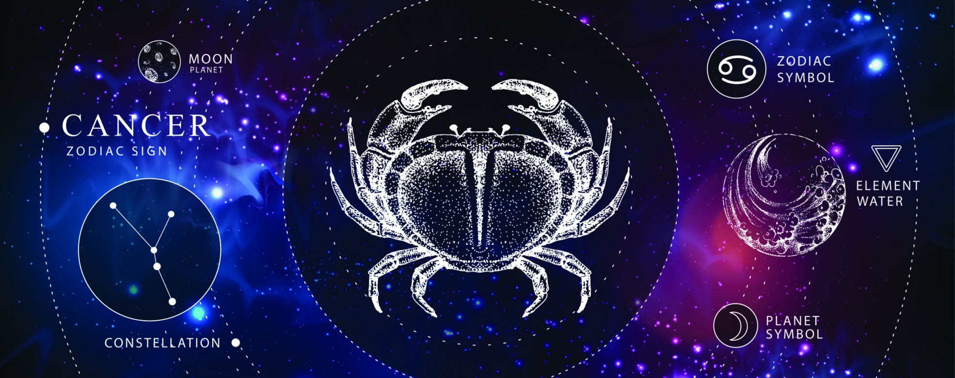 Najbardziej atrakcyjne części ciała znaków zodiaku. Krągłe pupy Koziorożca i zmysłowe usta Strzelca