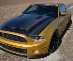 Ford Mustang Golden Snacke