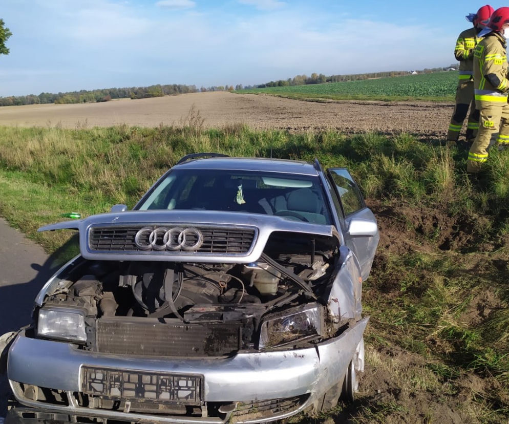 Wypadek na drodze wojewódzkiej pod Lesznem. Jedna osoba trafiła do szpitala