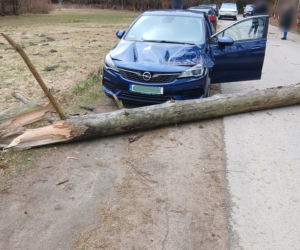 Zerwane dachy, powalone drzewa i prawie 11 tysięcy odbiorców bez prądu!