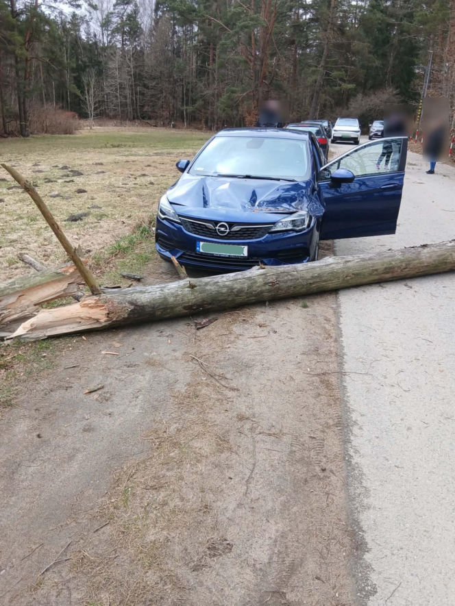 Zerwane dachy, powalone drzewa i prawie 11 tysięcy odbiorców bez prądu!
