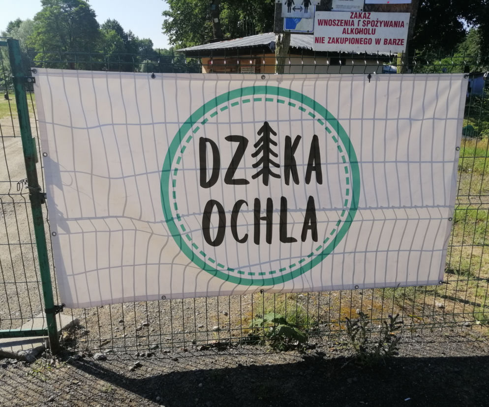 Dzika Ochla