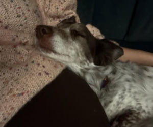 Aleksandra Gałczyńska