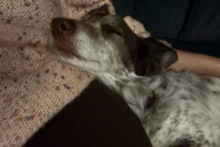 Aleksandra Gałczyńska