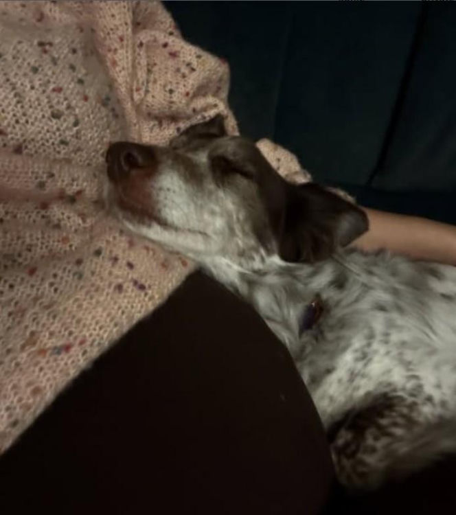 Aleksandra Gałczyńska