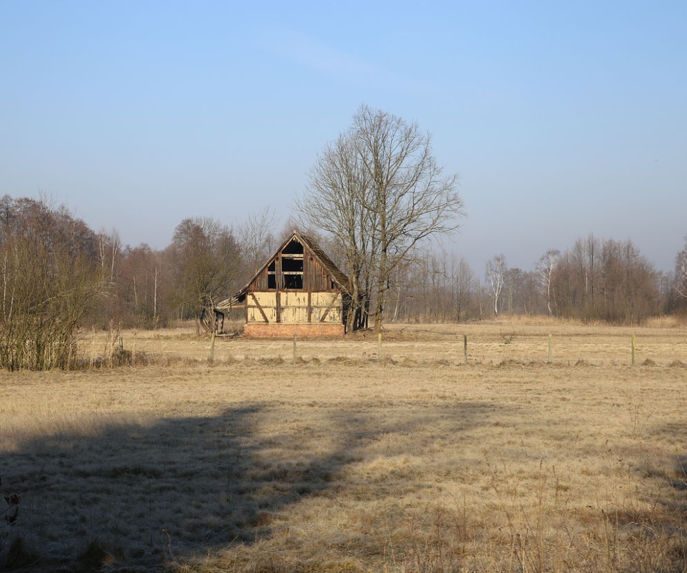 POWIESIŁ SIĘ młody mężczyzna! Kolejne samobójstwo pod Przasnyszem