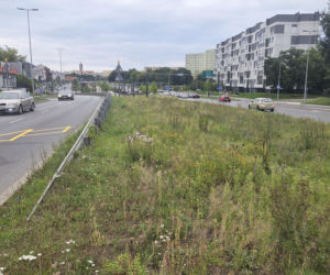 Tędy za dwa lata pojadą tramwaje. Na Szwederowie rozpoczęła się budowa nowej trasy tramwajowej