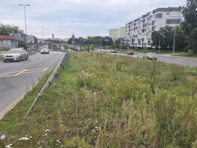 Tędy za dwa lata pojadą tramwaje. Na Szwederowie rozpoczęła się budowa nowej trasy tramwajowej