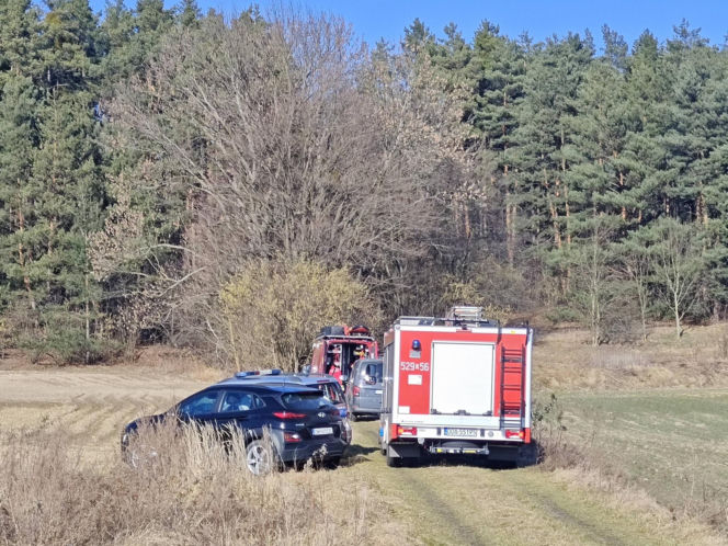 Ogromne siły policji pod Wrocławiem. Szukają zaginionej aktorki. Znaleziono rozbite auto!