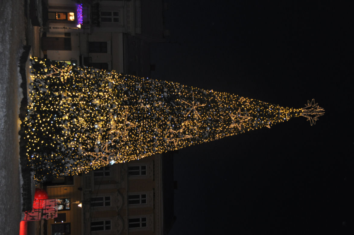 Świąteczne iluminacje i choinki w centrum Kielc