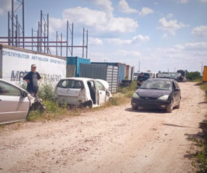 Warsztaty dla aktorów i kaskaderów Stunt Fight Camp w Szczecinie