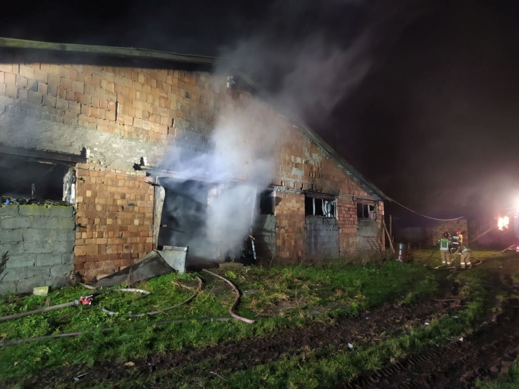 Krzywiec. Pożar kompleksu kurników. Padło 20 tys. sztuk perliczek