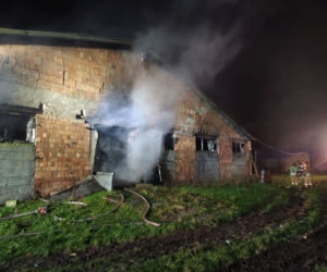 Krzywiec. Pożar kompleksu kurników. Padło 20 tys. sztuk perliczek
