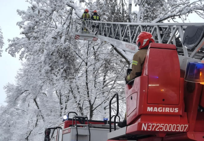 Interwencje strażaków w Tarnowie