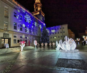 Opole. Świąteczny klimat na RYNKU! Zobacz, jak wygląda centrum miasta na Święta! [ZDJĘCIA]