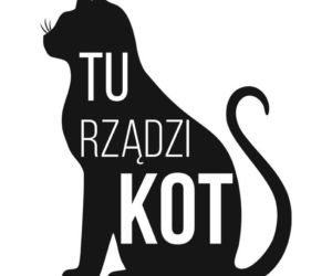 Naklejka na ścianę