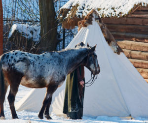 Korona Królów w lubelskim skansenie