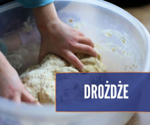 Czego nie może jeść pies? Te rzeczy mogą mu poważnie zaszkodzić! [LISTA]