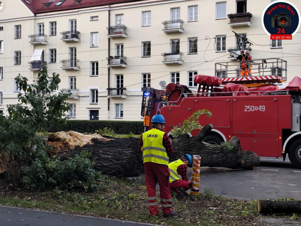 Drzewo spadło na sieć trakcyjną