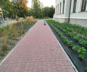 Park kieszonkowy, Siedlce, sala Podlasie