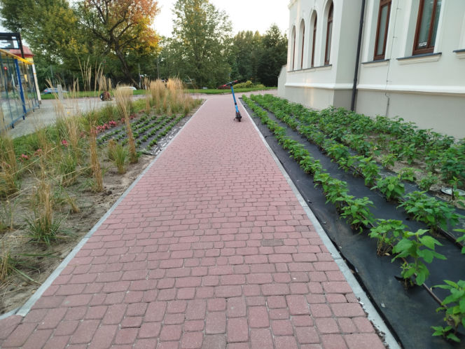 Park kieszonkowy, Siedlce, sala Podlasie