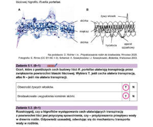 Odpowiedzi do arkusza maturalnego CKE - biologia rozszerzona 2026