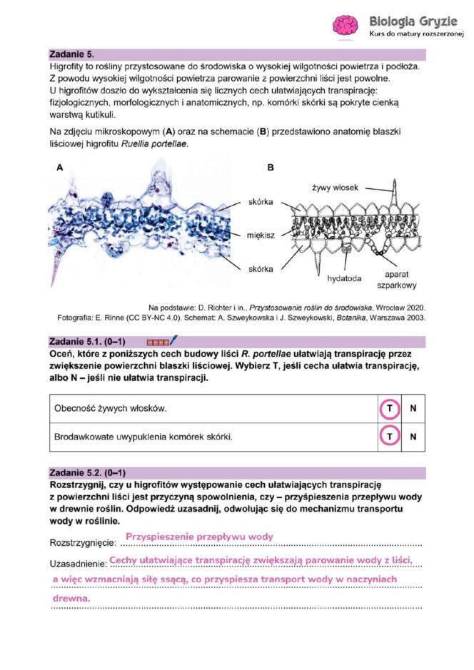 Odpowiedzi do arkusza maturalnego CKE - biologia rozszerzona 2026