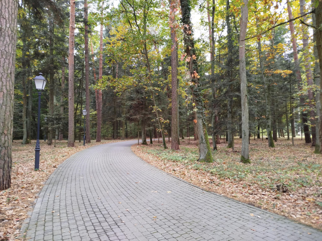 Zabytkowe budynki Lodowni i Kotłowni oraz zespół sanatoryjno-parkowy w Rudce przejdą rewitalizację. Inwestycje będą realizowane do 2028 roku