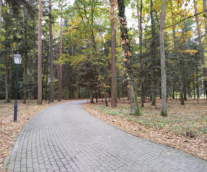 Zabytkowe budynki Lodowni i Kotłowni oraz zespół sanatoryjno-parkowy w Rudce przejdą rewitalizację. Inwestycje będą realizowane do 2028 roku