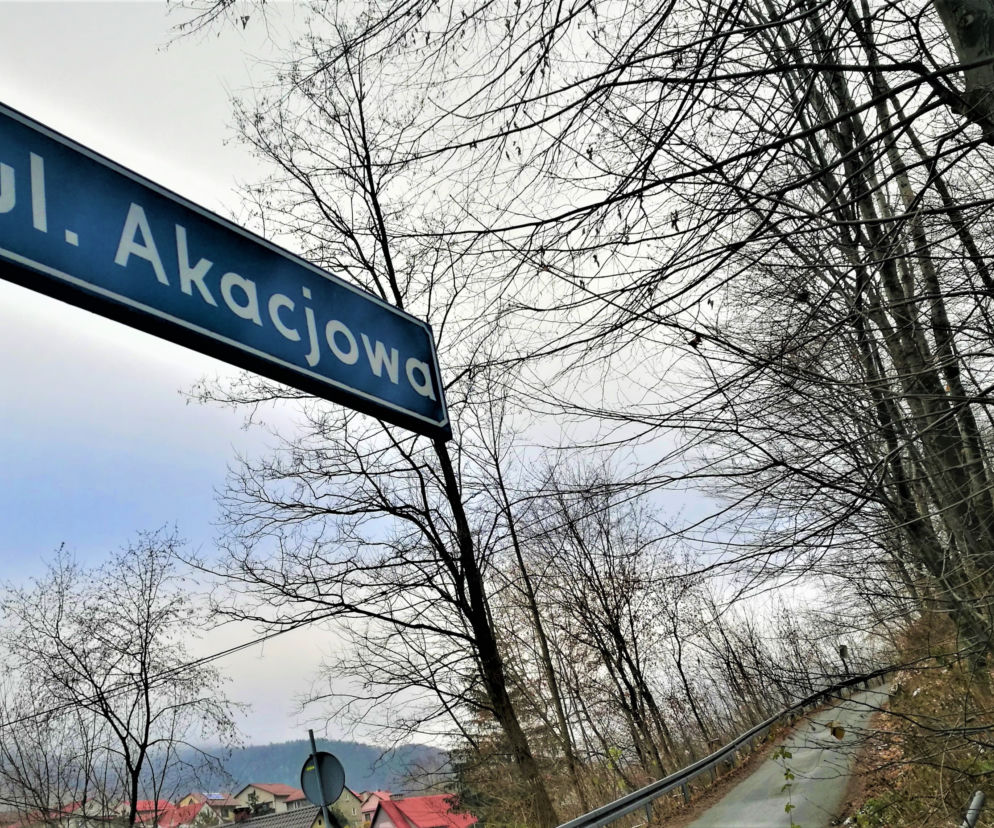Akcacjowa doczeka się remontu