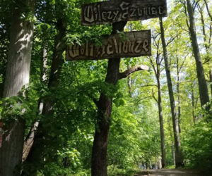 Wilczy Szaniec. Zobacz zdjęcia dawnej kwatery Adolfa Hitlera