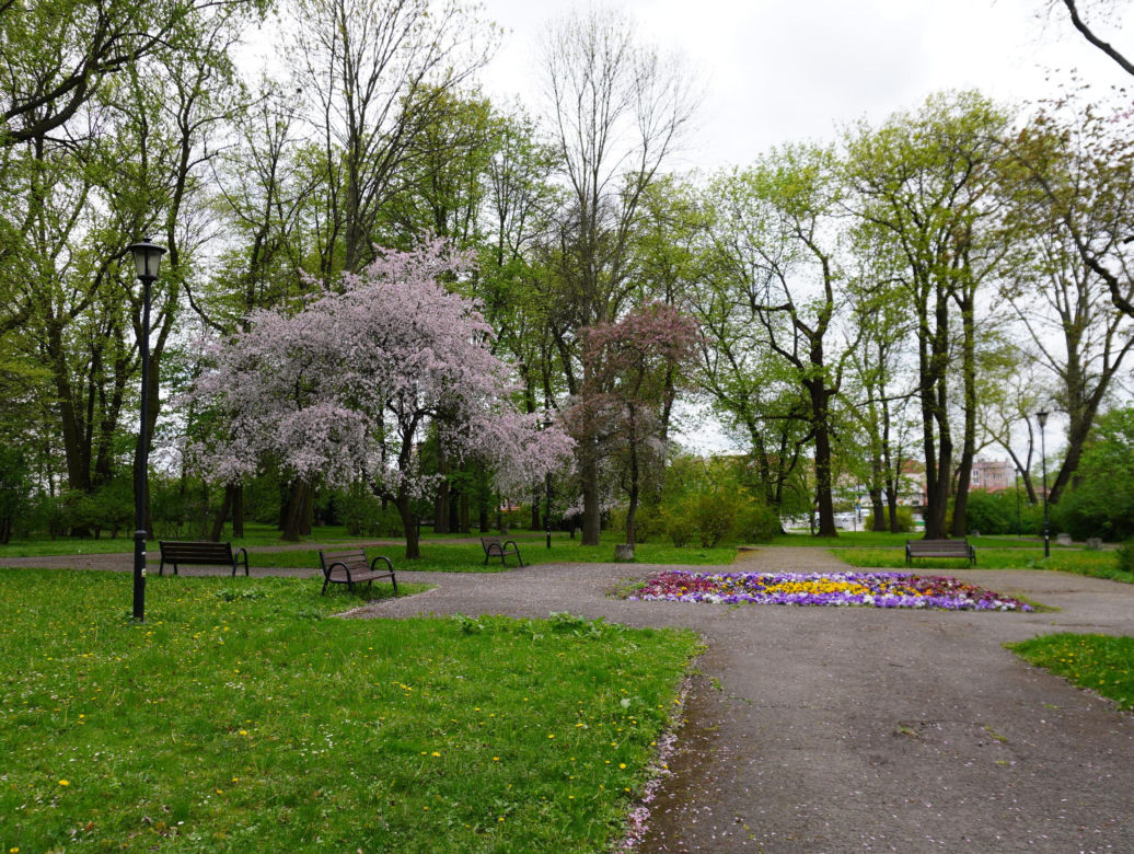 Park Bronowice wiosną 2024