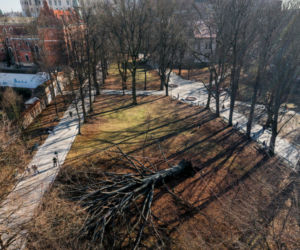 Niż Eunice sieje spustoszenie. Dramatyczne skutki wichury w Polsce